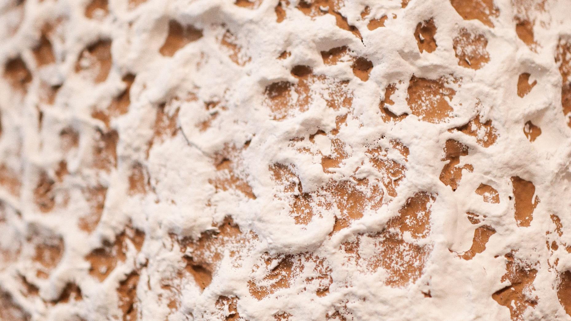 Підвісний світильник Dendron thumbnail 2